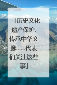 历史文化遗产保护、传承中华文脉……代表们关注这些事