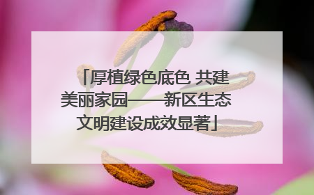 厚植绿色底色 共建美丽家园——新区生态文明建设成效显著