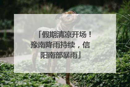 假期清凉开场！豫南降雨持续，信阳南部暴雨