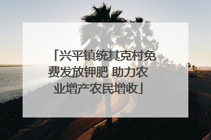 兴平镇统其克村免费发放钾肥 助力农业增产农民增收