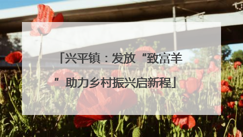 兴平镇：发放“致富羊”助力乡村振兴启新程
