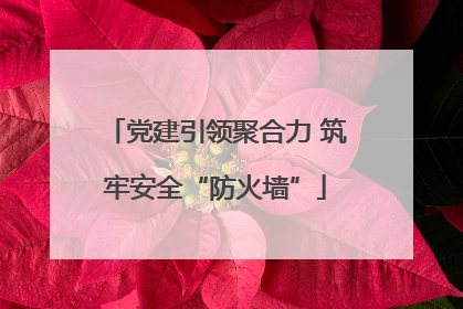 党建引领聚合力 筑牢安全“防火墙”