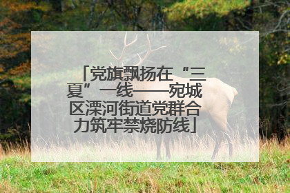 党旗飘扬在“三夏”一线——宛城区溧河街道党群合力筑牢禁烧防线