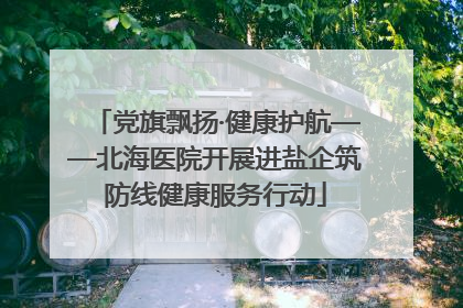 党旗飘扬·健康护航——北海医院开展进盐企筑防线健康服务行动