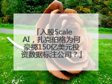 入股Scale AI，扎克伯格为何豪掷150亿美元投资数据标注公司？