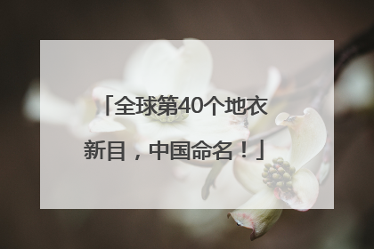 全球第40个地衣新目，中国命名！