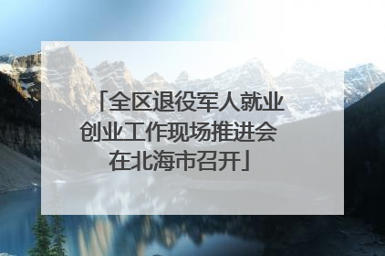 全区退役军人就业创业工作现场推进会在北海市召开