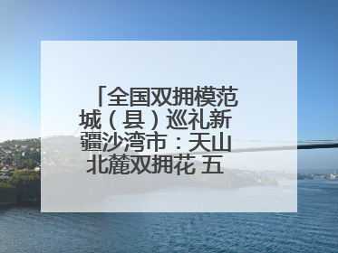 全国双拥模范城（县）巡礼新疆沙湾市：天山北麓双拥花 五届蝉联铸辉煌
