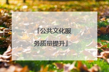公共文化服务质量提升