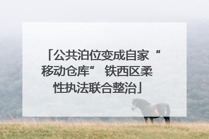 公共泊位变成自家“移动仓库” 铁西区柔性执法联合整治