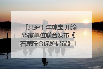 共护千年瑰宝 川渝55家单位联合发布《石窟联合保护倡议》