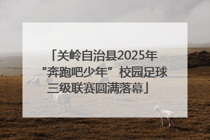关岭自治县2025年“奔跑吧少年”校园足球三级联赛圆满落幕