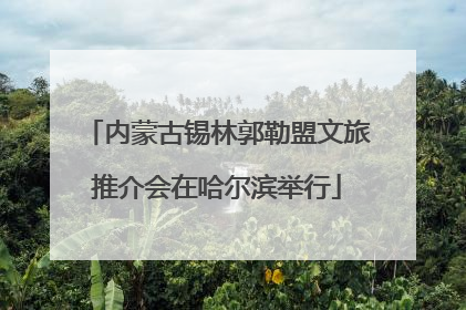 内蒙古锡林郭勒盟文旅推介会在哈尔滨举行