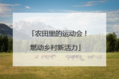 农田里的运动会！燃动乡村新活力