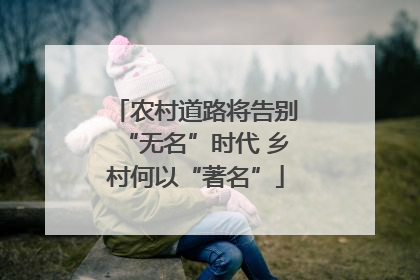 农村道路将告别“无名”时代 乡村何以“著名”