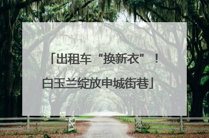 出租车“换新衣”！白玉兰绽放申城街巷