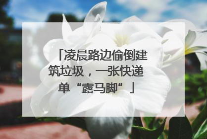凌晨路边偷倒建筑垃圾，一张快递单“露马脚”