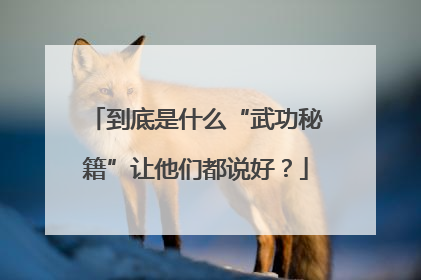 到底是什么“武功秘籍”让他们都说好？