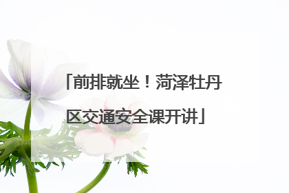 前排就坐！菏泽牡丹区交通安全课开讲