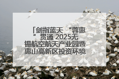 剑指蓝天 “蓉惠”贯通 2025无锡航空航天产业园暨惠山高新区投资环境推介会在成都举行
