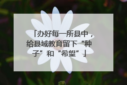 办好每一所县中，给县域教育留下“种子”和“希望”