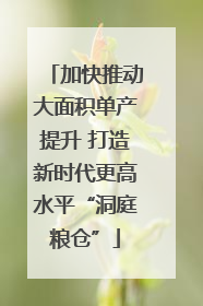 加快推动大面积单产提升 打造新时代更高水平“洞庭粮仓”