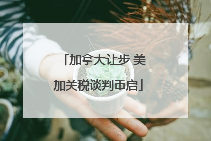 加拿大让步 美加关税谈判重启
