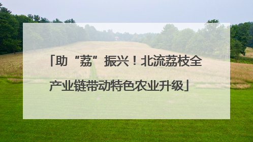 助“荔”振兴！北流荔枝全产业链带动特色农业升级