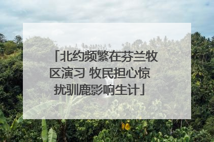 北约频繁在芬兰牧区演习 牧民担心惊扰驯鹿影响生计