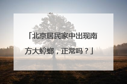 北京居民家中出现南方大蟑螂，正常吗？