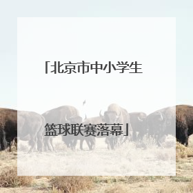 北京市中小学生篮球联赛落幕