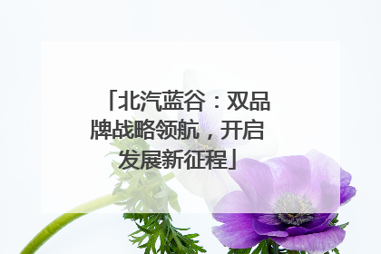 北汽蓝谷：双品牌战略领航，开启发展新征程
