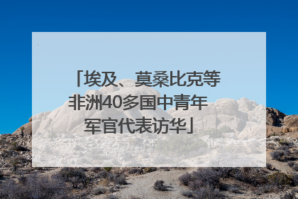 埃及、莫桑比克等非洲40多国中青年军官代表访华