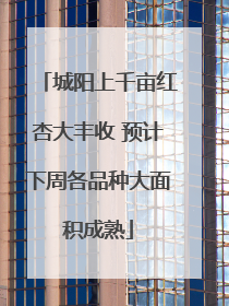 城阳上千亩红杏大丰收 预计下周各品种大面积成熟