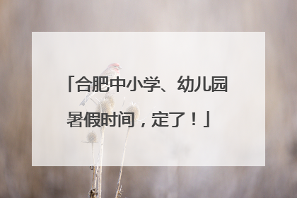 合肥中小学、幼儿园暑假时间，定了！