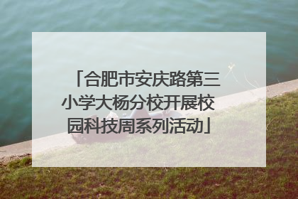 合肥市安庆路第三小学大杨分校开展校园科技周系列活动