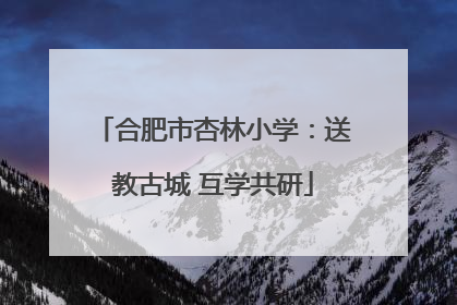 合肥市杏林小学：送教古城 互学共研