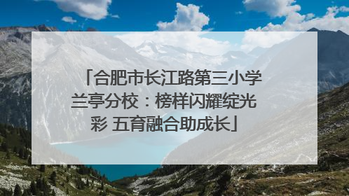 合肥市长江路第三小学兰亭分校：榜样闪耀绽光彩 五育融合助成长