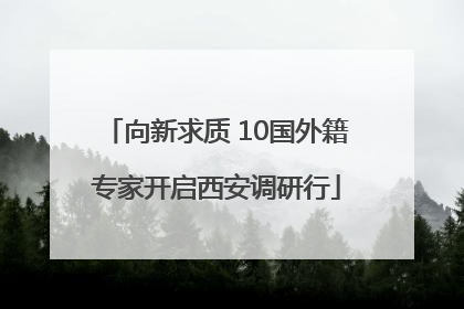 向新求质 10国外籍专家开启西安调研行