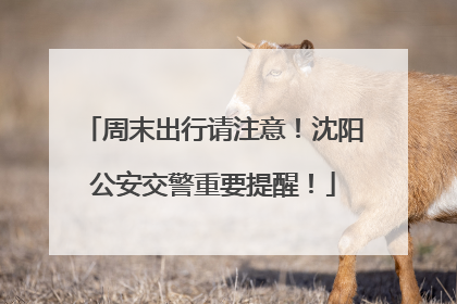 周末出行请注意！沈阳公安交警重要提醒！