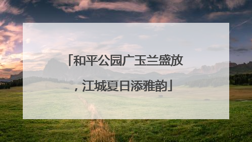 和平公园广玉兰盛放，江城夏日添雅韵
