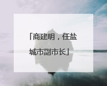 商建明，任盐城市副市长