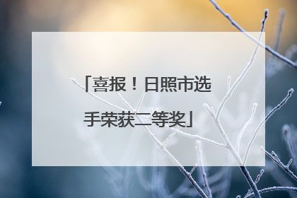 喜报！日照市选手荣获二等奖