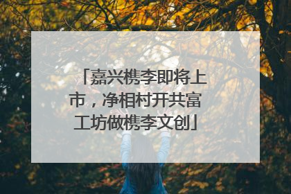 嘉兴槜李即将上市，净相村开共富工坊做槜李文创