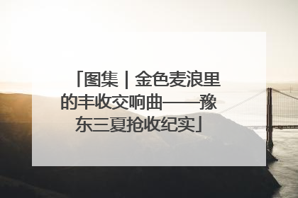 图集｜金色麦浪里的丰收交响曲——豫东三夏抢收纪实