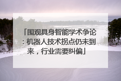 围观具身智能学术争论：机器人技术拐点仍未到来，行业需要纠偏