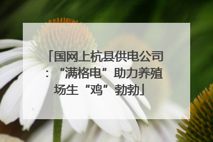 国网上杭县供电公司：“满格电”助力养殖场生“鸡”勃勃