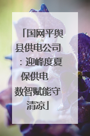 国网平舆县供电公司：迎峰度夏保供电  数智赋能守清凉
