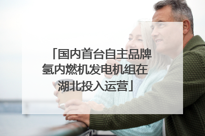 国内首台自主品牌氢内燃机发电机组在湖北投入运营