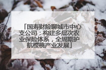 国寿财险聊城市中心支公司：构建多层次农业保险体系，全周期护航樱桃产业发展